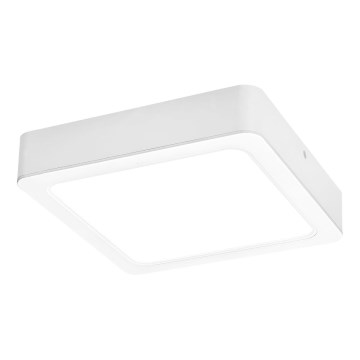 Rabalux - LED Plafon LED/7W/230V 4000K 12x12 cm biały