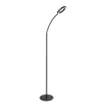 Rabalux - LED regulowana dotykowa lampa stojąca LED/11W/230V 3000K