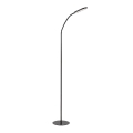 Rabalux - LED regulowana dotykowo lampa stojąca LED/10W/230V 3000-6000K czarna