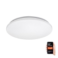 Rabalux - LED RGB ściemnialna lampa sufitowa LED/24W/230V Wi-Fi Tuya 3000-6500K 31 cm