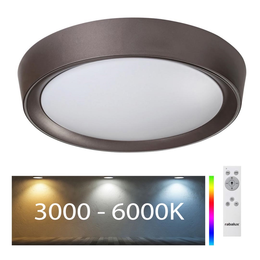 Rabalux - LED RGB Ściemniana lampa sufitowa LED/24W/230V + pilot 3000-6000K