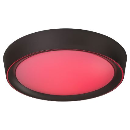 Rabalux - LED RGB Ściemniana lampa sufitowa LED/24W/230V + pilot 3000-6000K