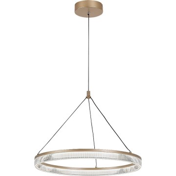 Rabalux - LED ściemnialny żyrandol na lince LED/24W/230V 3000-6500K + pilot zdalnego sterowania