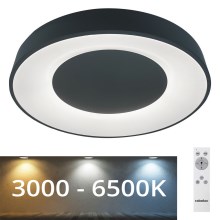 Rabalux - LED Ściemniane oświetlenie sufitowe LED/38W/230V black + pilot 3000-6500K