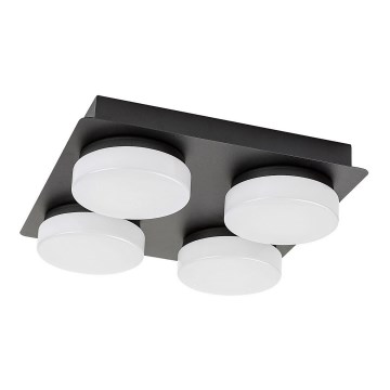 Rabalux - LED sufitowa lampa łazienkowa 4xLED/5,2W/230V IP44 czarna