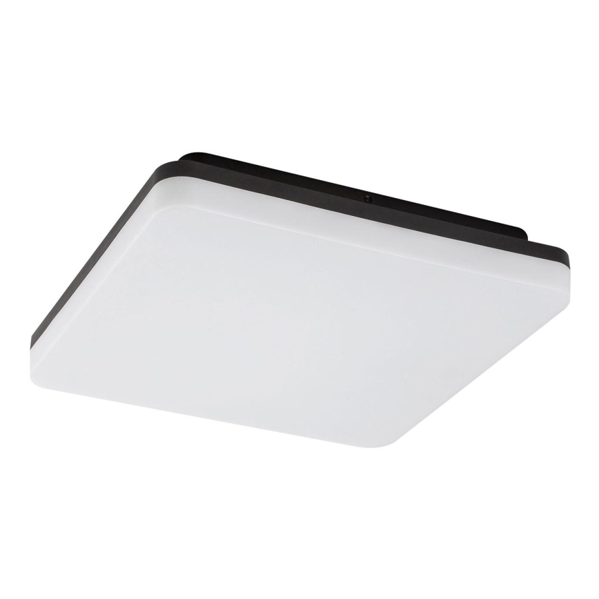 Rabalux - LED sufitowa lampa łazienkowa LED/24W/230V IP54