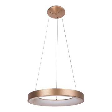 Rabalux - LED Żyrandol na lince CARMELLA LED/50W/230V śr. 60 cm