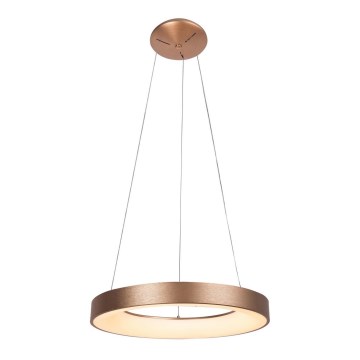 Rabalux - LED Żyrandol na lince CARMELLA LED/80W/230V śr. 80 cm