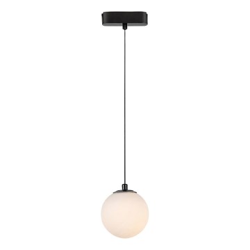 Rabalux - LED Żyrandol na lince do 1-fazowego systemu szynowego LED/5W/230V 3000K czarny