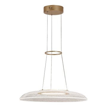 Rabalux - LED żyrandol na przewodzie LED/24W/230V 3000K