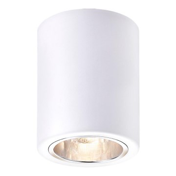 Rabalux - Oprawa punktowa 1xE27/25W/230V biała