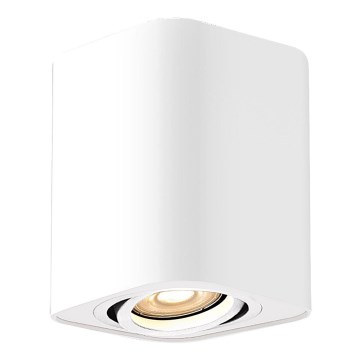 Rabalux - Oświetlenie punktowe 1xGU10/42W/230V białe