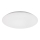 Rabalux - plafon LED/24W/230V 4000K Ø 38 cm