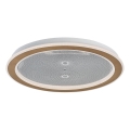 Rabalux - plafon ściemnialny LED/34W/230V 3000–6500K śr. 51 cm + pilot zdalnego sterowania
