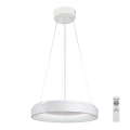 Rabalux - Regulowany żyrandol LED na linkach LED/38W/230V 3000-6500K biały + pilot zdalnego sterowania