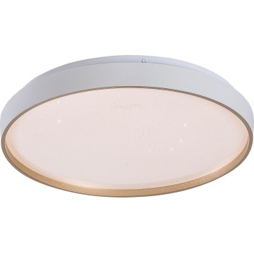 Rabalux - ściemnialna oprawa sufitowa LED/34W/230V 3000-6500K śr. 38 cm + pilot zdalnego sterowania