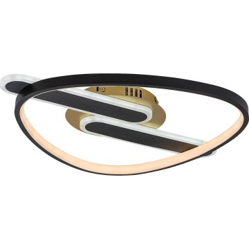 Rabalux - Ściemnialna oprawa sufitowa LED/60W/230V 3000-6000K 53x45 cm + pilot zdalnego sterowania