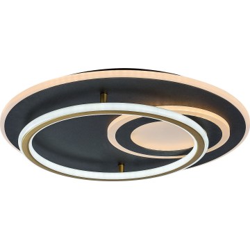 Rabalux - Ściemnialna oprawa sufitowa LED/60W/230V 3000-6000K śr. 50 cm + pilot zdalnego sterowania