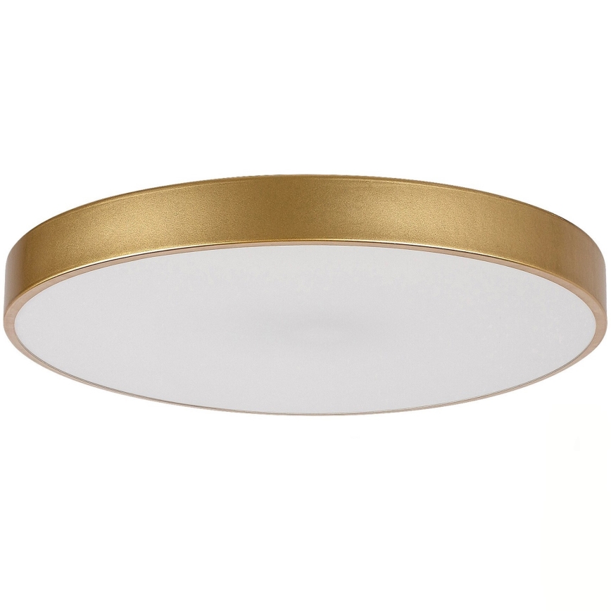 Rabalux - Zamienny klosz do żyrandola i oprawy sufitowej TESIA, biały