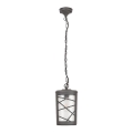 Rabalux - Zewnętrzna lampa wisząca 1xE27/60W/230V IP44
