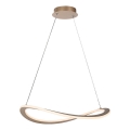 Rabalux - Żyrandol LED na lince LED/40W/230V 3000K