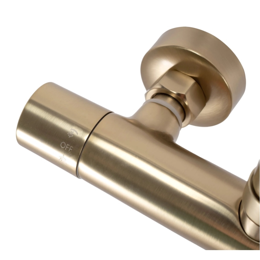 REA-P2323 - Zestaw prysznicowy z baterią termostatyczną PAROT, szczotkowane złoto