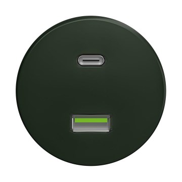 Reblig - Retro gniazdko USB A+C bez ramki, zielone