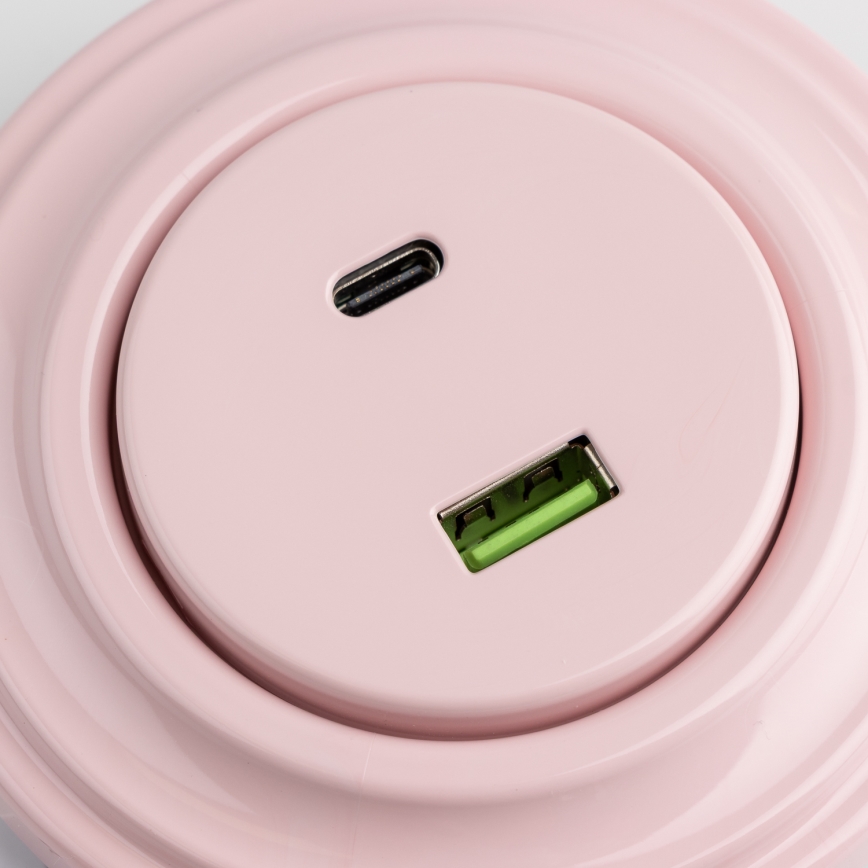Reblig - Retro gniazdo USB A+C z ramką w odcieniu starego różu
