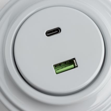 Reblig - Retro gniazdo USB A+C z szarą ramką