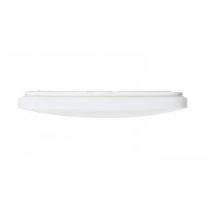 RED - Design Rendl - R12437 - LED Plafon SEMPRE LED/36W/230V kwadratowy