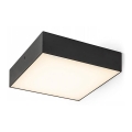 RED - Design Rendl - R13488 - Lampa sufitowa LED LARISA LED/20W/230V czarna