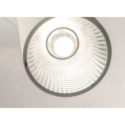 Redo 01-1970 - LED Żyrandol ściemnialny na lince ESSENCE LED/24W/230V CRI 90 3000K biały