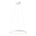 Redo 01-2672 - LED ściemnialny żyrandol na lince ICONIC LED/50W/230V śr. 58 cm biały