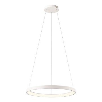 Redo 01-2672 - LED ściemnialny żyrandol na lince ICONIC LED/50W/230V śr. 58 cm biały