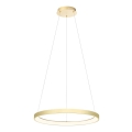 Redo 01-2673 - LED Żyrandol ściemnialny na lince ICONIC LED/50W/230V śr. 58 cm złoty
