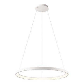 Redo 01-2675 - LED ściemnialna lampa wisząca na lince ICONIC LED/60W/230V, śr. 78 cm, biała