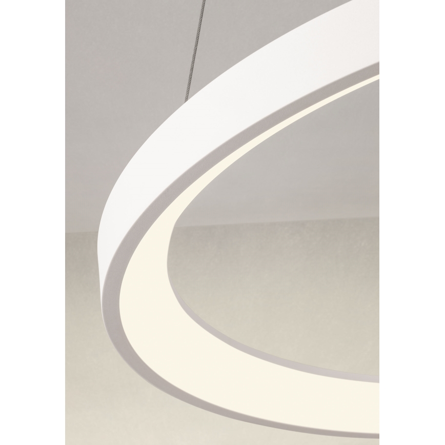 Redo 01-2675 - LED ściemnialna lampa wisząca na lince ICONIC LED/60W/230V, śr. 78 cm, biała