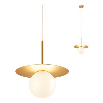 Redo 01-2727 - Żyrandol na lince PLATO 1xG9/10W/230V śr. 20 cm zl.
