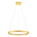 Redo 01-2865 - LED ściemnialna lampa wisząca na linkach FEBE LED/37W/230V złota