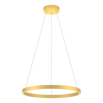Redo 01-2865 - LED Żyrandol ściemnialny na lince FEBE LED/37W/230V złoty