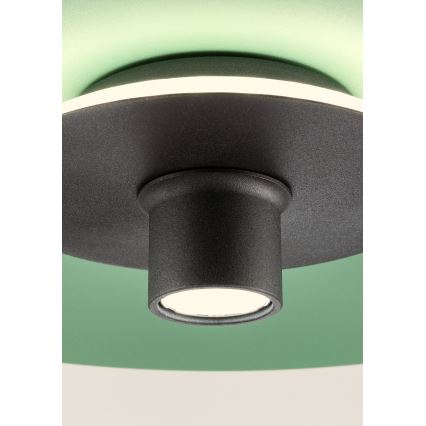 Redo 01-3019 - Lampa wisząca LED na lince LARS LED/14W/230V + LED/10W, średnica 60 cm, CRI 90, zielona