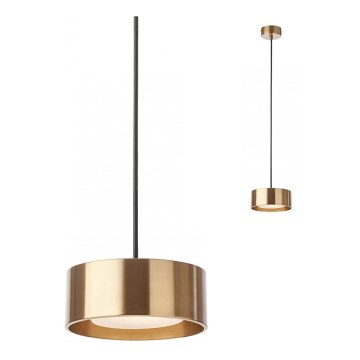 Redo 01-3100 - LED Żyrandol na lince PUNKT LED/6W/230V śr. 15 cm mosiądz