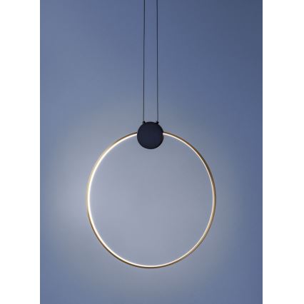 Redo 01-3107 - LED Żyrandol na lince ATOM LED/20W/230V śr. 60 cm