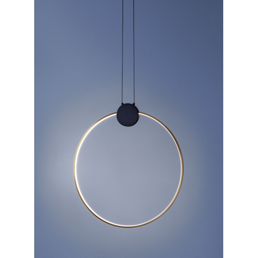 Redo 01-3107 - LED Żyrandol na lince ATOM LED/20W/230V śr. 60 cm