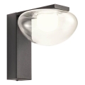 Redo 01-3242 - Kinkiet LED SINCLAIR LED/6,5W/230V CRI 93 IP21 czarny