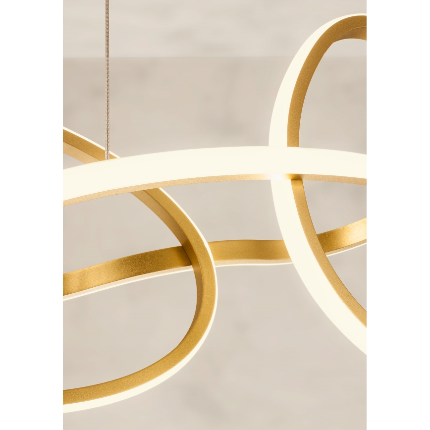 Redo 01-3392 - LED ściemnialny żyrandol wiszący na lince BIAS LED/120W/230V 3000/4500/6500K CRI 90 złoty