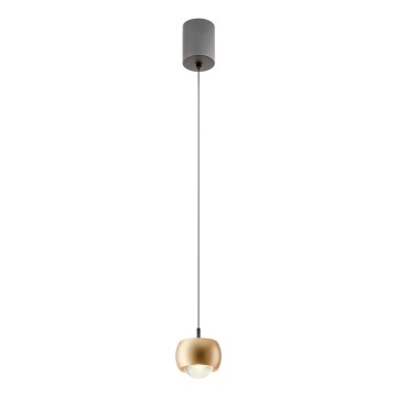 Redo 01-3547 - LED Żyrandol na lince AVES LED/12W/230V śr. 9,6 cm CRI 90 złoty