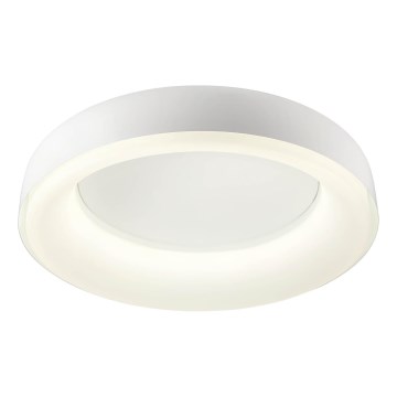 Redo 01-3941 - LED oprawa sufitowa DIP LED/40W/230V 2700/3000/4000/5000/6500K CRI 90 śr. 62,4 cm biała
