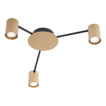 Redo 01-4049 - Oświetlenie punktowe NOA 3xGU10/10W/230V złote