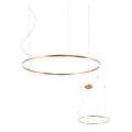 Redo 01-4877 - Żyrandol LED ściemnialny na lince ORBIT LED/55W/230V 2700/3000K brązowy